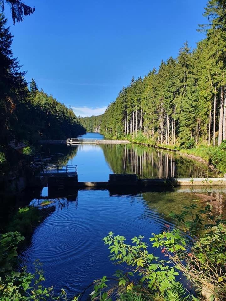 Hotel Landhaus Falkenstein Tambach-Dietharz Zewnętrze zdjęcie