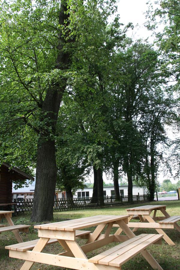 Hotel Landhaus Falkenstein Tambach-Dietharz Zewnętrze zdjęcie